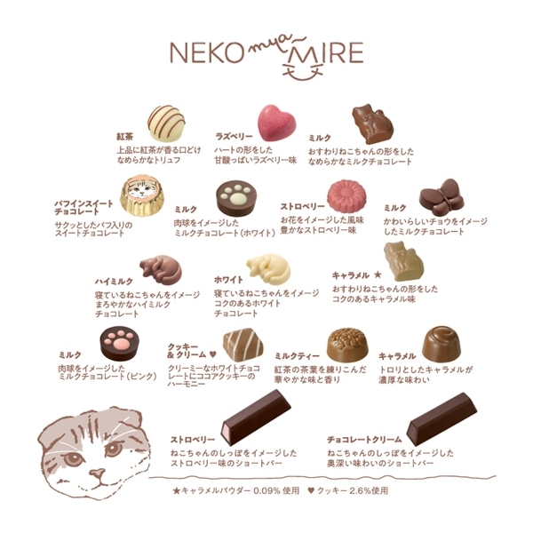 ねこみゃみれ にゃそーてっどチョコレート 22個入【メリーチョコレート】 ねこみゃみれ にゃそーてっどチョコレート 22個入