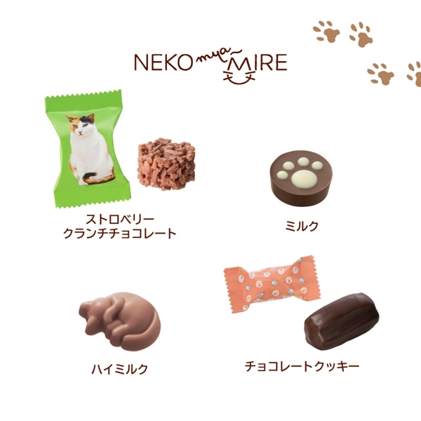 ねこみゃみれ みゃみれ缶 14個入【メリーチョコレート】 ねこみゃみれ みゃみれ缶 14個入