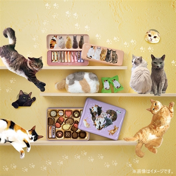 ねこみゃみれ みゃみれ缶 14個入【メリーチョコレート】 ねこみゃみれ みゃみれ缶 14個入