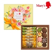 カカオサブレ＆プレーンチョコレート PCP-10