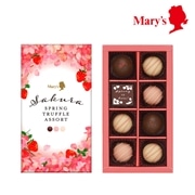 さくらスプリング スプリングトリュフアソート 8個入