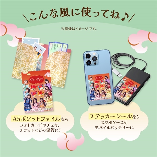 【送料・クール手数料込】アジアに恋してアイスセット(クリアファイル1種・ステッカーシール付き)