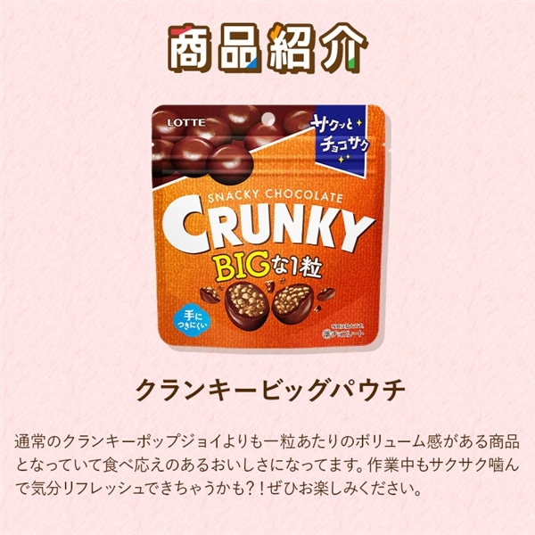 【送料込】食べきりバラエティセット第8弾