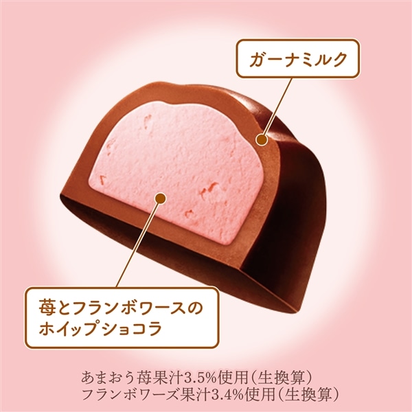 プレミアムガーナ ショコラホイップ<ザ・ベリー> 6個セット ショコラホイップ<ザ・ベリー>