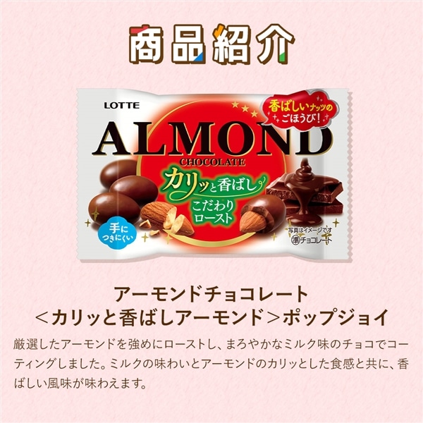 【送料込】食べきりバラエティセット第6弾