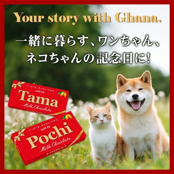 2026年1月9日正午より販売開始 オリジナルガーナチョコレート 5枚セット