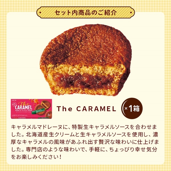 【送料込】Theチョコパイカスタードセット