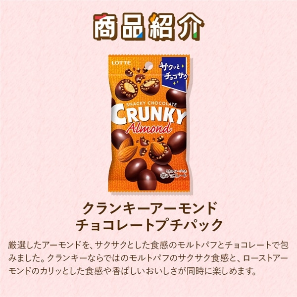 【送料込】食べきりバラエティセット第8弾