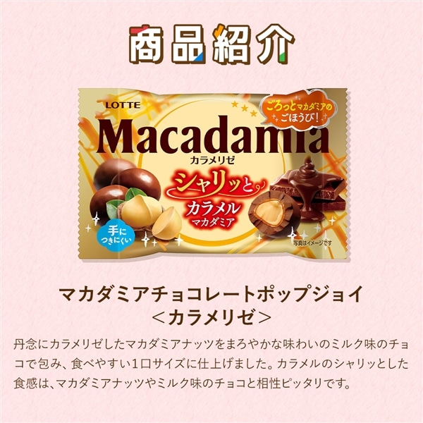 【送料込】食べきりバラエティセット第6弾