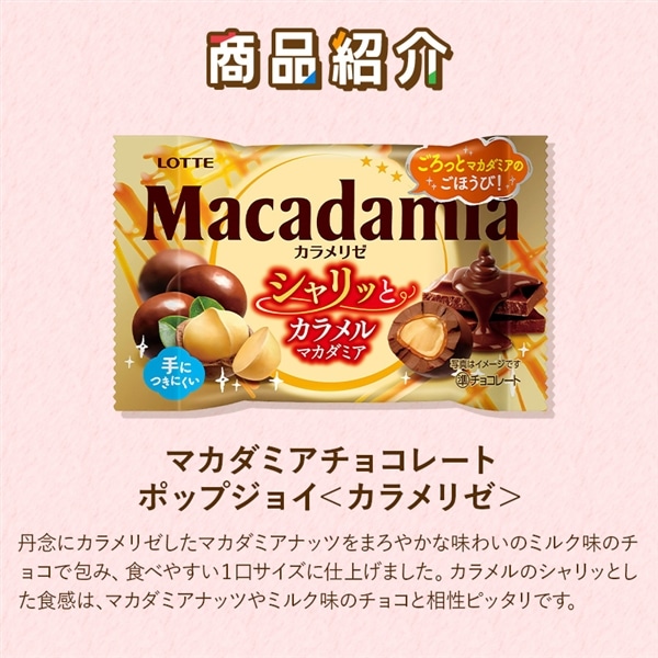 【送料込】食べきりバラエティセット第8弾