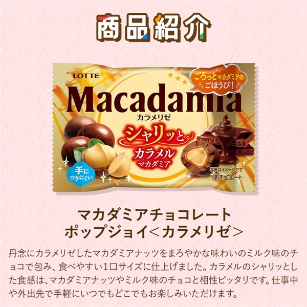 【送料込】食べきりバラエティセット第7弾