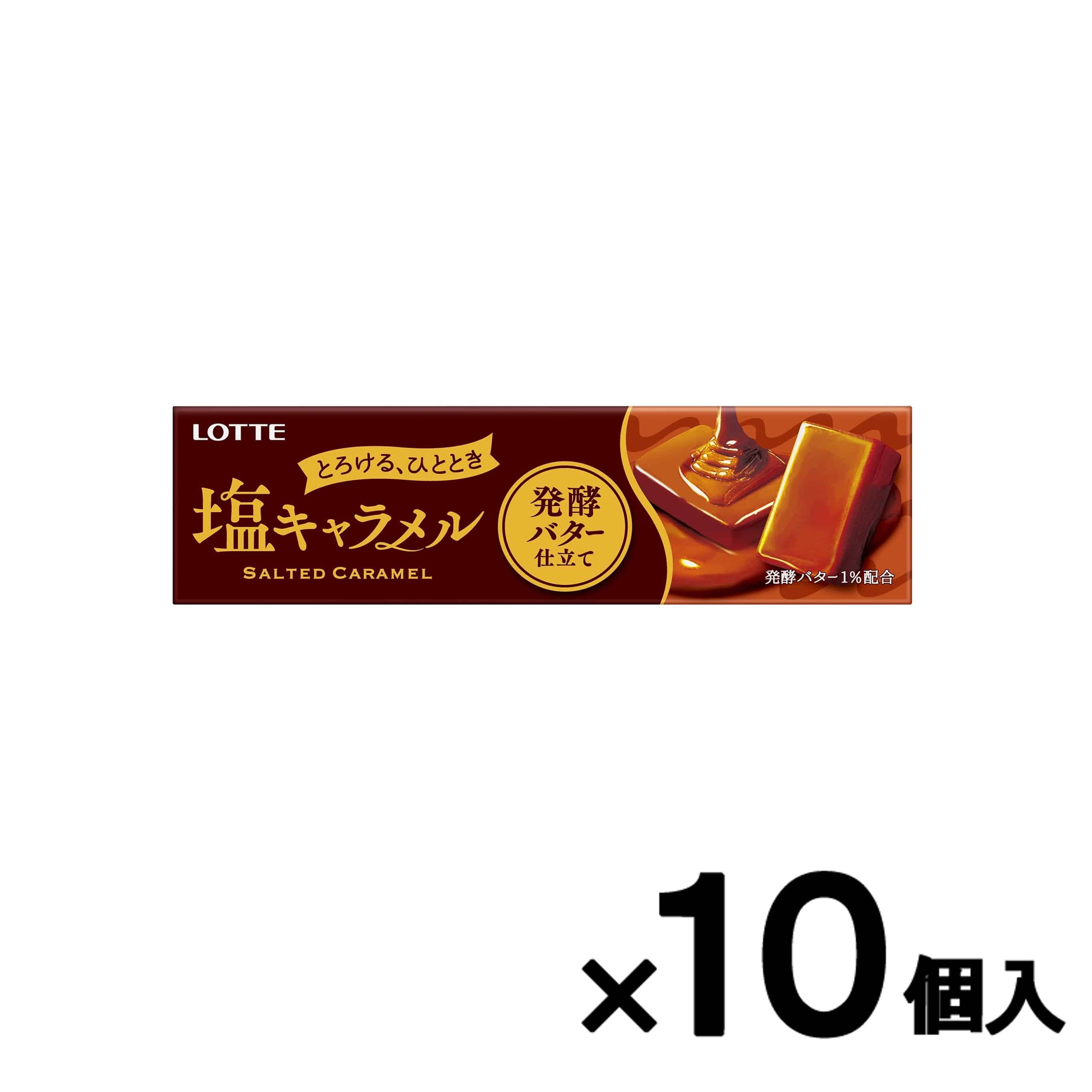 【会員限定アウトレット】塩キャラメル<発酵バター仕立て> 10個セット