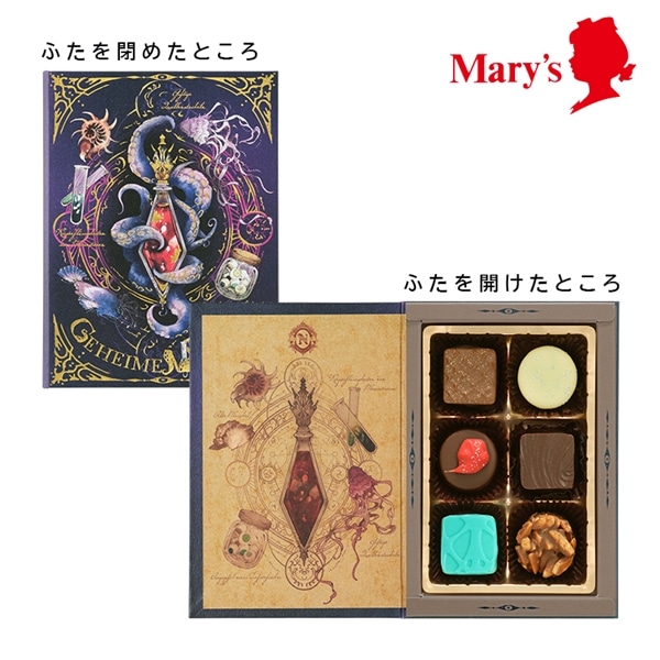 ナハトラビュリント ゲハイメ・メディチーン(秘薬) 6個入【メリーチョコレート】