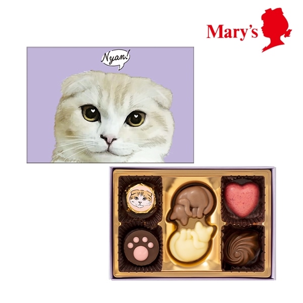 ねこみゃみれ にゃそーてっどチョコレート 6個入【メリーチョコレート】