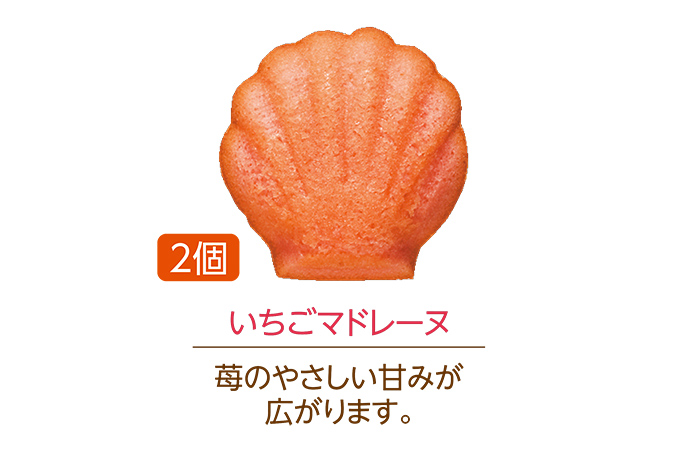 <ミニーマウス>カメラボックス(5個入)