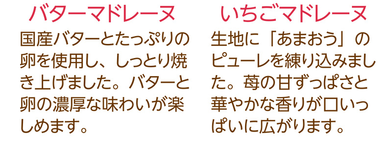 春のマドレーヌ(12個入)【銀座コージーコーナー】