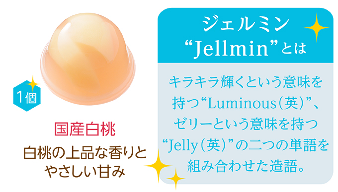 ジェルミン(6個入)