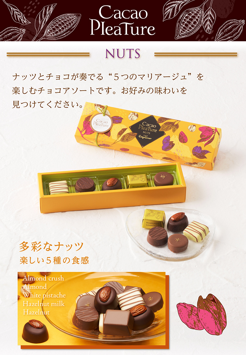 <カカオプレチュール>ナッツ(5個入)【銀座コージーコーナー】