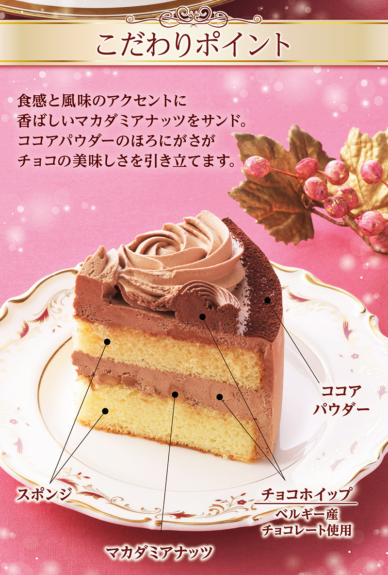 クリスマスチョコレートケーキ（5号）｜お菓子・チョコレート・ケーキの通販LOTTE GROUP公式オンラインモール