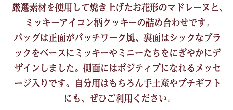 ＜ディズニー＞ハピネスバッグ（9個入）