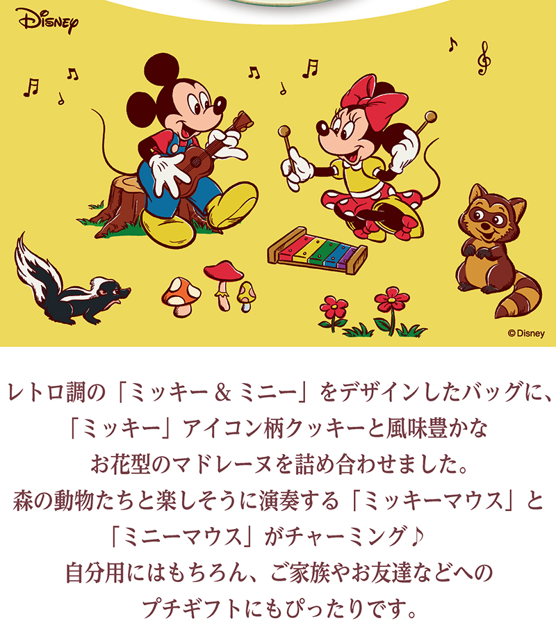 <ディズニー>ハピネスバッグ(9個入)【銀座コージーコーナー】