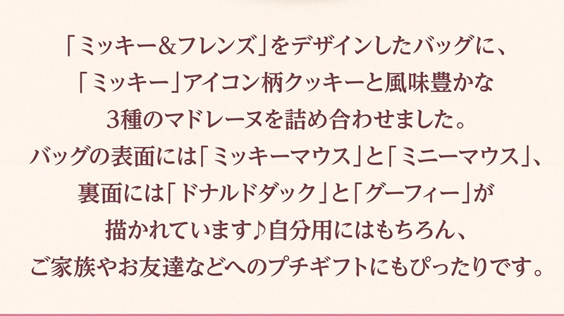 ＜ディズニー＞ハピネスバッグ(９個入)【銀座コージーコーナー】