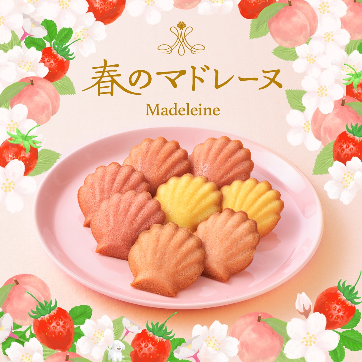 春のマドレーヌ