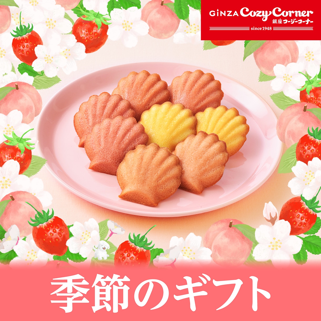 コージー季節のギフト