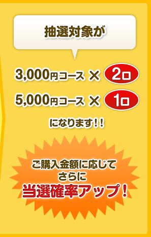 IΏۂ3,000~R[X ~ 2 5,000~R[X ~ 1 ɂȂ܂IIwzɉĂɓImAbvI