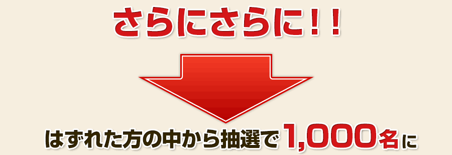 ɂɁII͂ꂽ̒璊I1,000