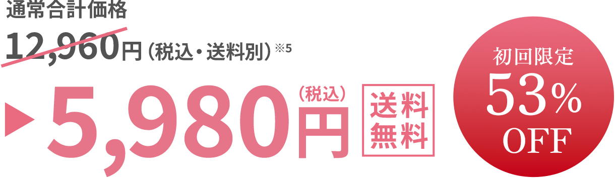 初回限定53%OFF 12,960円（税込・送料別）が5,980円（税込）送料無料